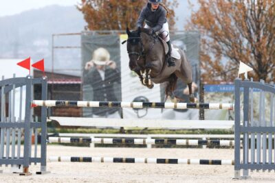 Vittoria Torraca di nuovo a podio al Concorso nazionale 5 stelle all’Arezzo equestrian centre